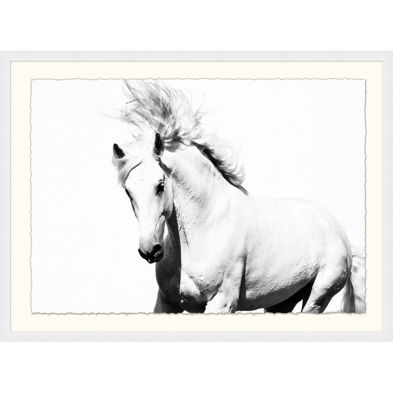 White Horse Print