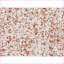 De salon avec repose-pieds rose à motif carré 39x39 Boucle | Base argent brossé | Cadre en métal