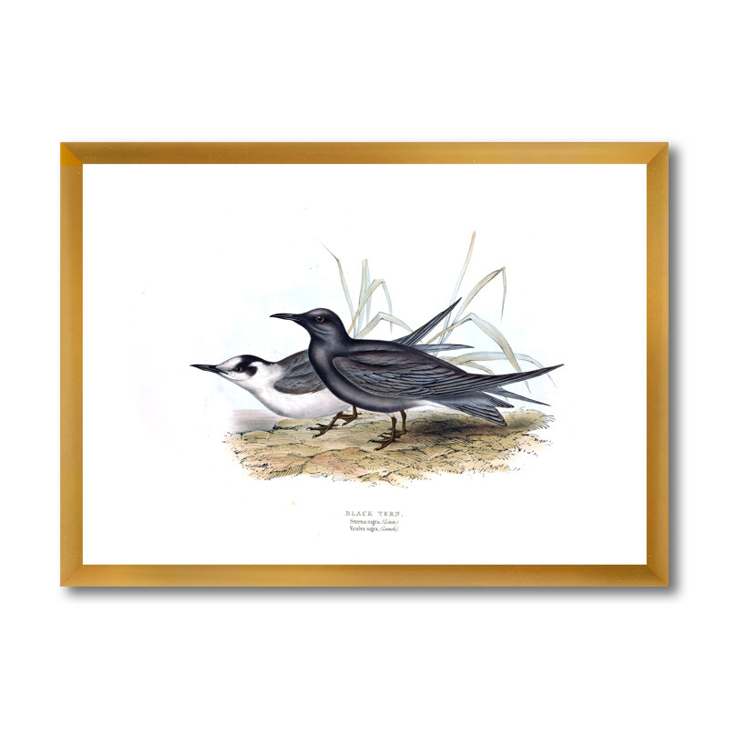 Oiseau rétro de l'Europe II - peinture sur toile, H 30 po x l 40 po x 1,5 po, Cadre doré