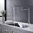 Dilon Kitchen Faucet-60515042