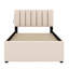Upholstered Platform Bed With Trundle-1800928857
