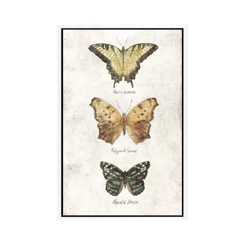Butterflies II by Mike Koubou - Painting on Canvas, White Framed, 66.04cm H x 45.72cm W x 3.81cm D
