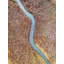 Abstract Aerial Landscape VI Print by Frank Peters-92902157-132657859