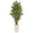 Bamboo Tree in White Tower Planter