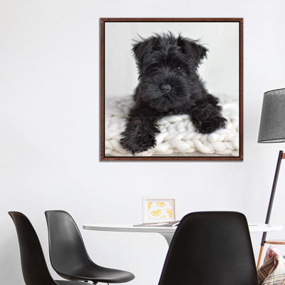 Neddy by Rachael Hale - Print on Canvas
