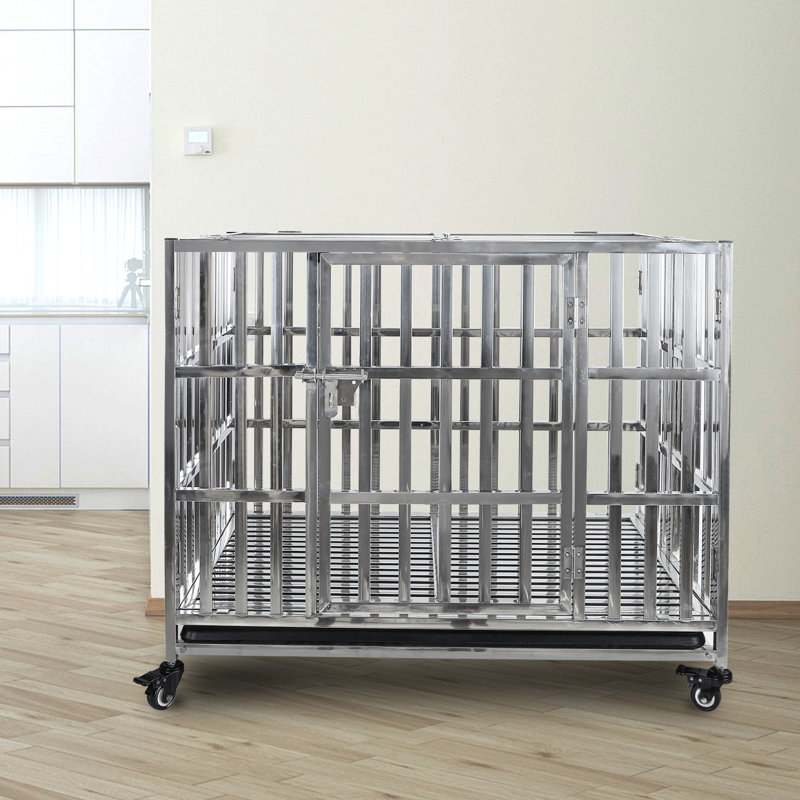 Cage pour chien en acier inoxydable Fasano, H 27 po x l 37 po x P 25 po