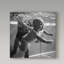 Ishkhan «Underwater Natation», reproduction de photo sur toile tendue-30311372