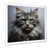 Silver Picture Framed