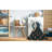 Indoor Rug-67865564