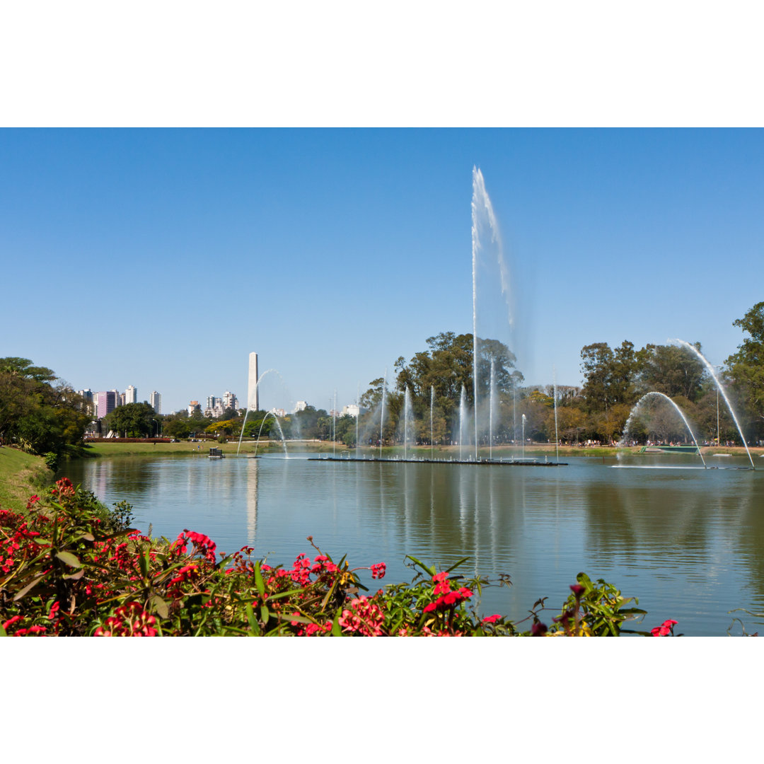 Springbrunnen im Ibirapuera Park - Drucken