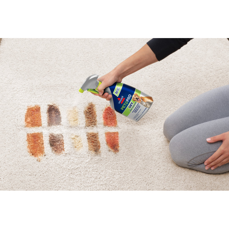 BISSELL Pet Pro Oxy Stain Remover
