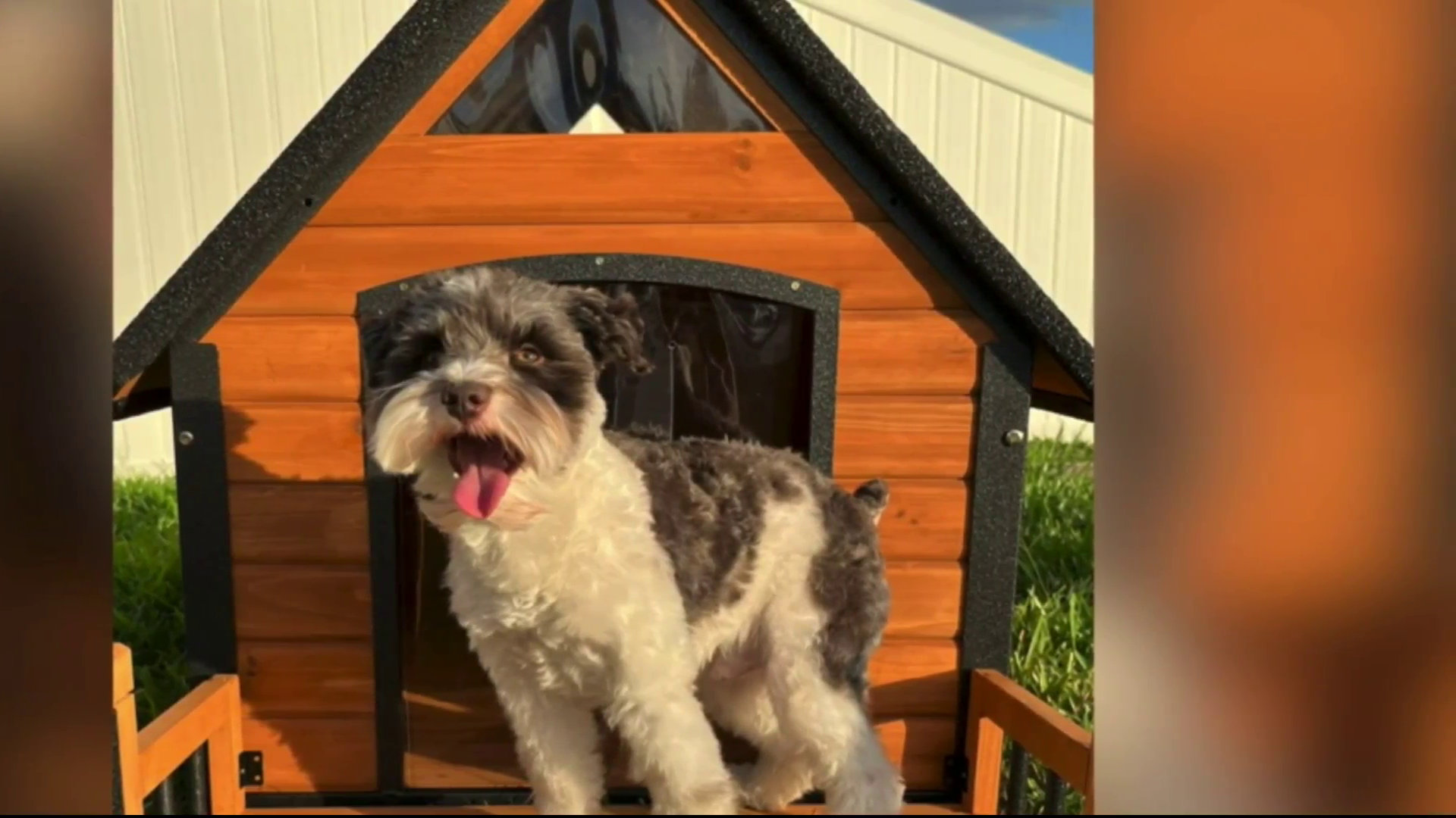 Tucker Murphy Pet™ Tucker Murphy Pet Heated Dog House Outdoor 45