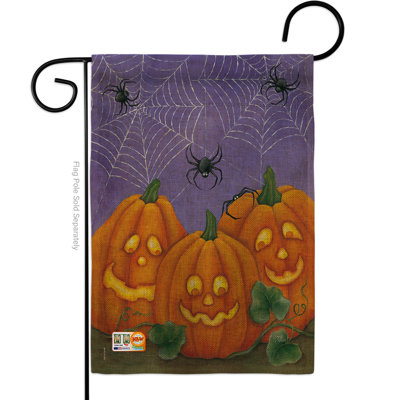 Double Sided 18.50'' H x 13'' W Polyester Garden Flag