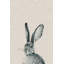 'Lonely Rabbit' Print On Wrapped Canvas-452916751