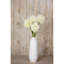 Arrangement-128130317-128130314