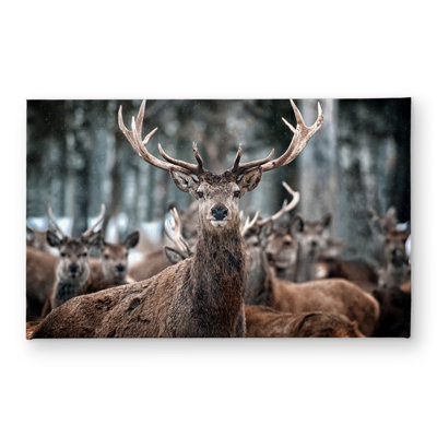 Stags Bedroom Rustic Indoor Outdoor Door Mat - Home Decor