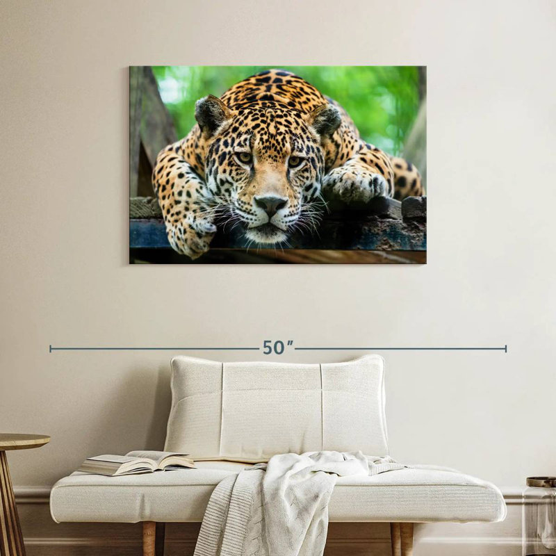Crowle Lazy Leopard, H 26 po x l 39 po