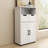 Storage Cabinet with 2 Large Drawer & Adjustable Shelf-123300773
