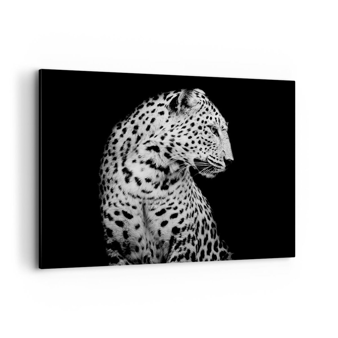 Leinwandbild Leopard-Panther-Katze