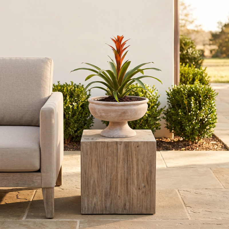 Hettie Ceramic Urn Planter, 7.25" H x 12.25" W x 12.25" D