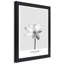White Lotus Flower Nature - Single Picture Frame Print-391325695-391325692