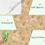 Papier peint auto-adhésif mural blanc doré à motif de feuilles exotiques botaniques exotiques