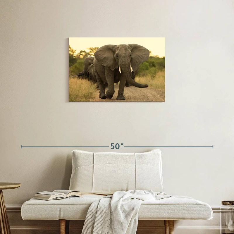 Brampt The Elephant Walk, H 20 po x l 30 po