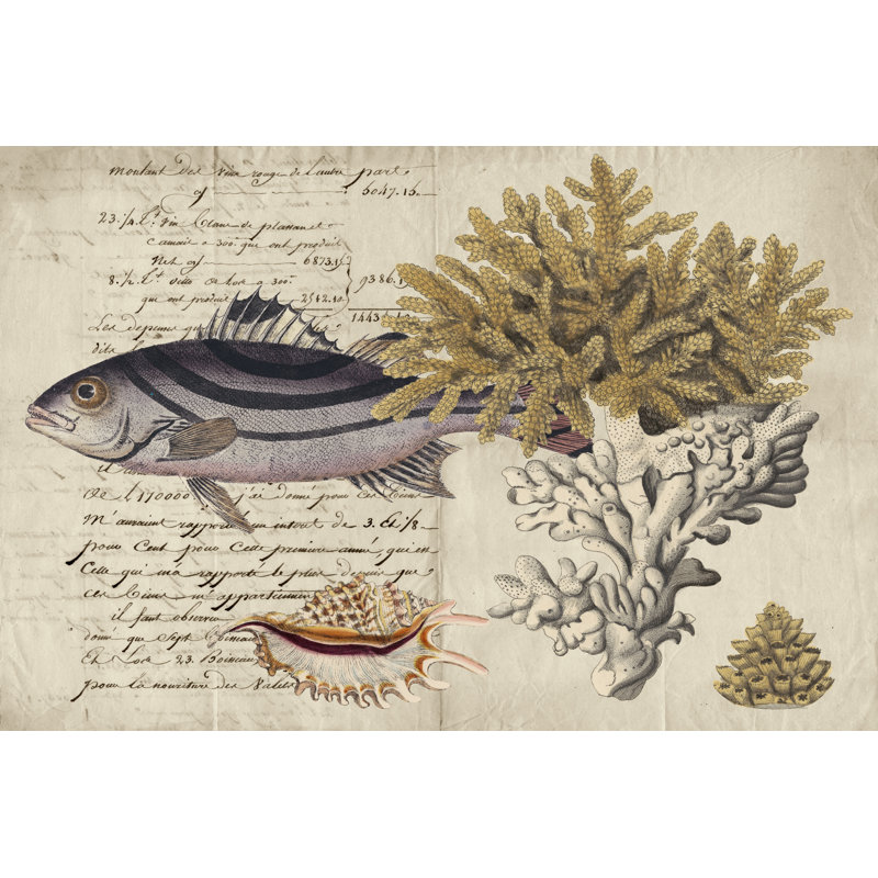 Sealife Journal III - Wrapped Canvas Print, 30cm H x 46cm W