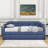 Brisais Twin Daybed with Trundle-1600300443