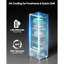 Commercial Merchandiser Refrigerator 11.47 CU.FT Glass Door Beverage Fridge