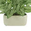 Nature's Elegance Faux Elephant Ear Plant in Ceramic Pot