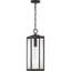 Mini-luminaire suspendu 1 lumière Wiebe-63380493