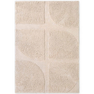 Denten Geometric Hand Tufted Shag Area Rug