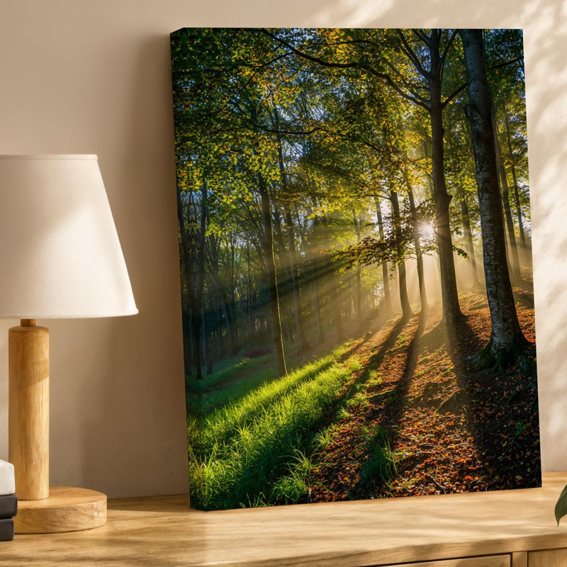 Reproduction d'art sur toile, "Scène de forêt sereine baignée de soleil doré avec rayons", H 30 po x l 20 po
