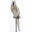 Animals Figurines & Sculptures