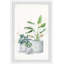 «Blooming Houseplants II», reproduction encadrée-1010606632