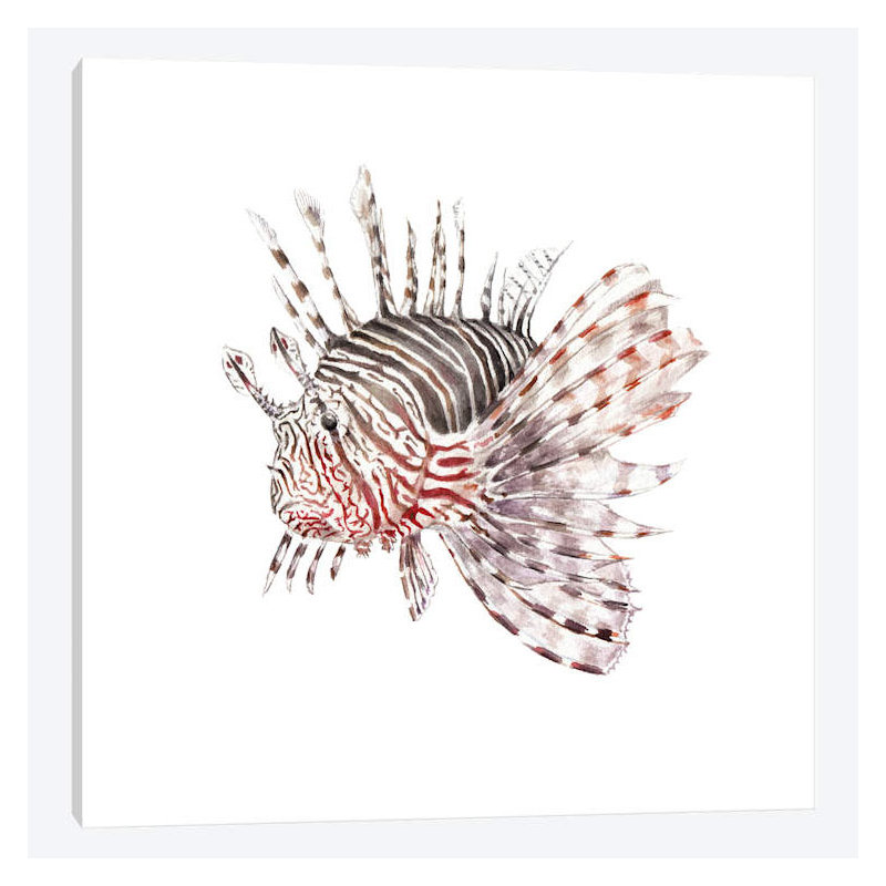 « lionfish », reproduction sur toile tendue, H 12 po x l 12 po x P 0,75 po