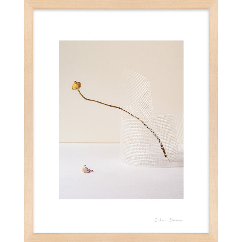 SV02802_Balance 2 By Svetlana Smirnova - Framed Wall Art, 25" H x 20" W x 1.25" D, Maple Framed