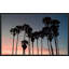 Venice Beach par Natalie Carpentieri - photographie-64742724-64742735