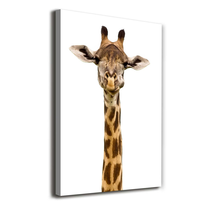 Giraffe - Wrapped Canvas Print
