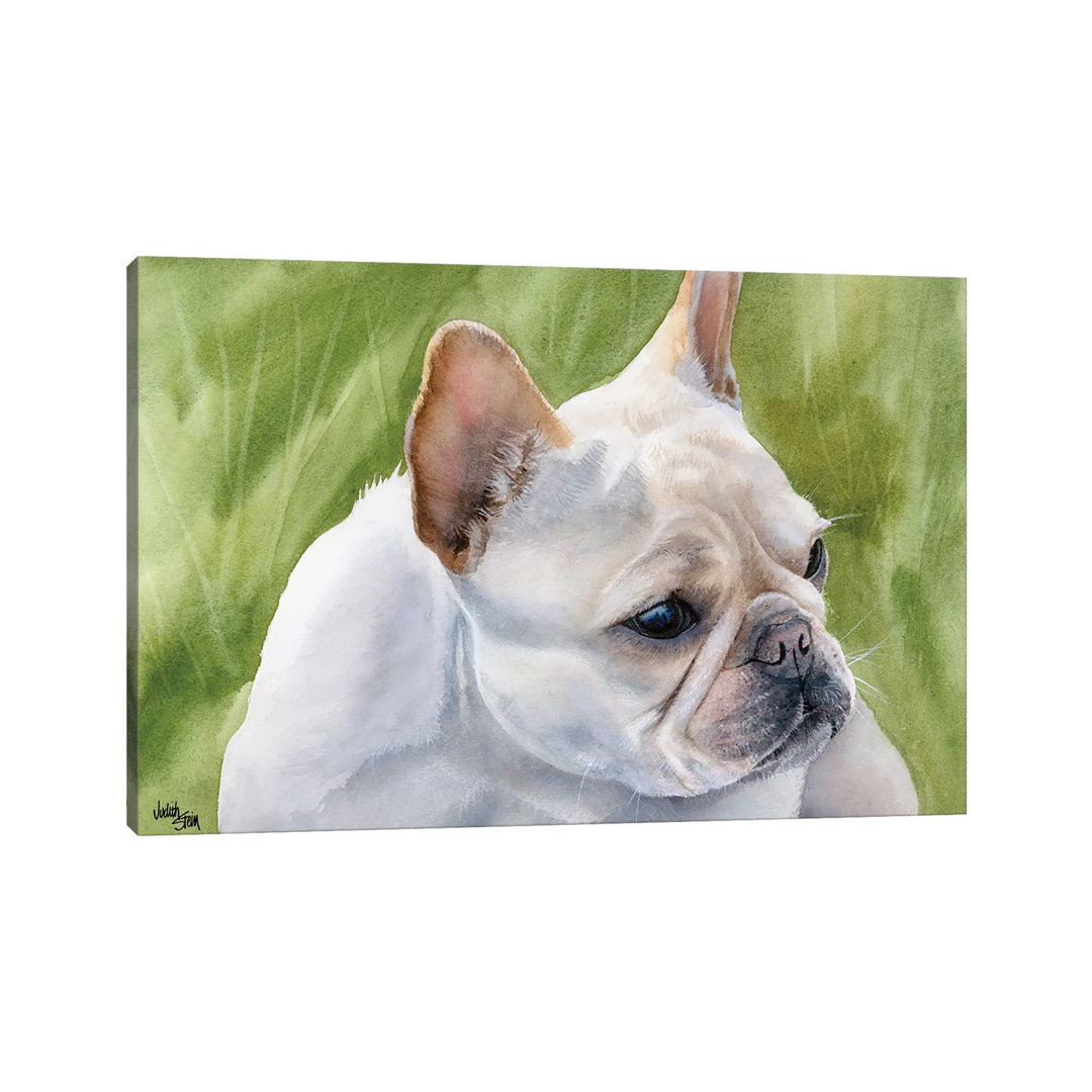 Pants - French Bulldog Fawn by Judith Stein - Wrapped Canvas Painting