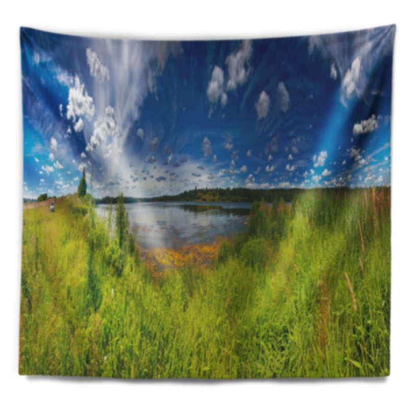 Tapisserie panorama idéal en polyester avec accessoires suspendus inclus, H 32 po x l 39 po