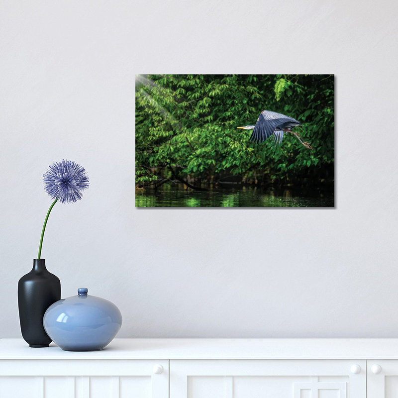 Big Blue In Green by David Gardiner - Wrapped Canvas Print, 30.48cm H x 45.72cm W