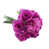 Lavender is out of stock