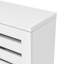 Lismore 2 Door Shoe Storage Cabinet-685325122