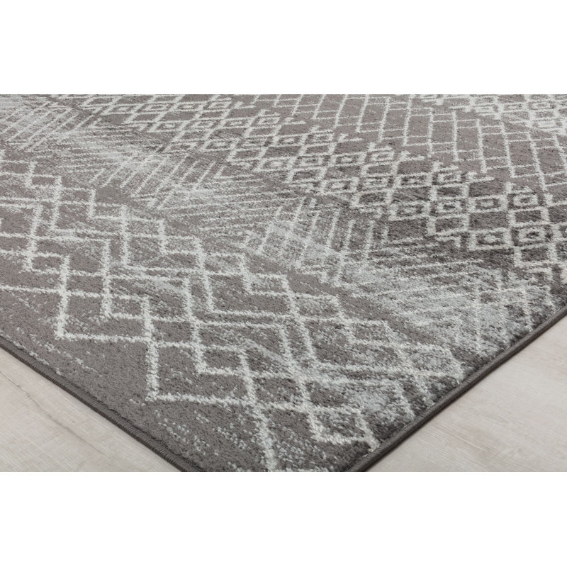 Ildiko Moroccan Indoor Rug, Rectangle 2'6" x 4'