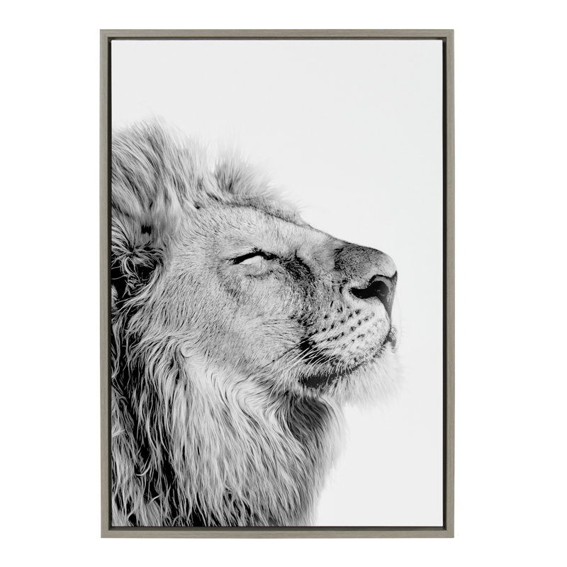 Lion Self Actualizing by Amy Peterson Framed Canvas Wall Art Print, 33" H x 23" W, Grey