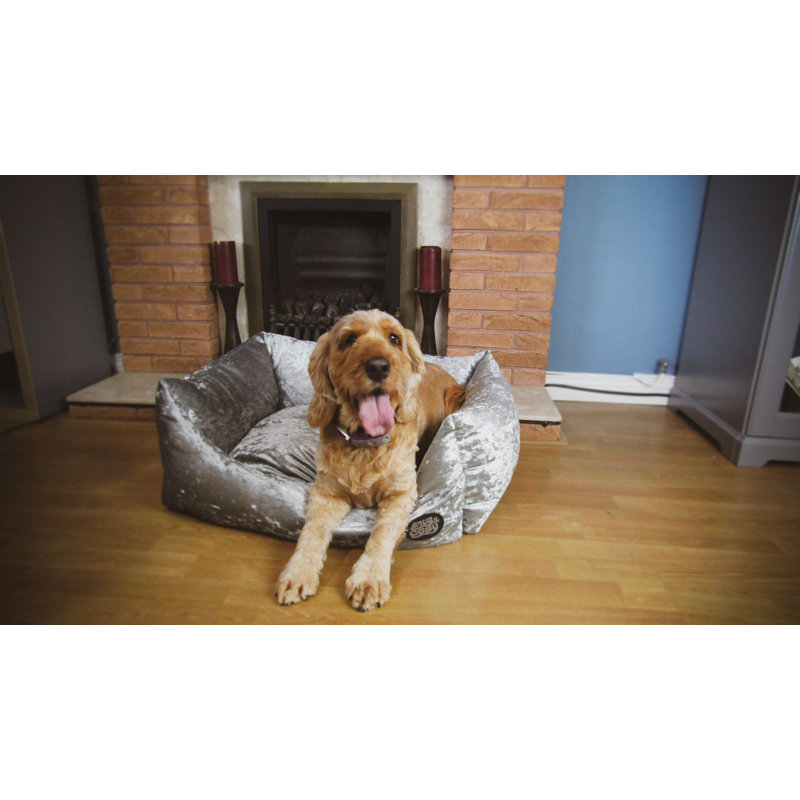 Benedict Pet Bed, 59cm W x 52cm D x 24cm H