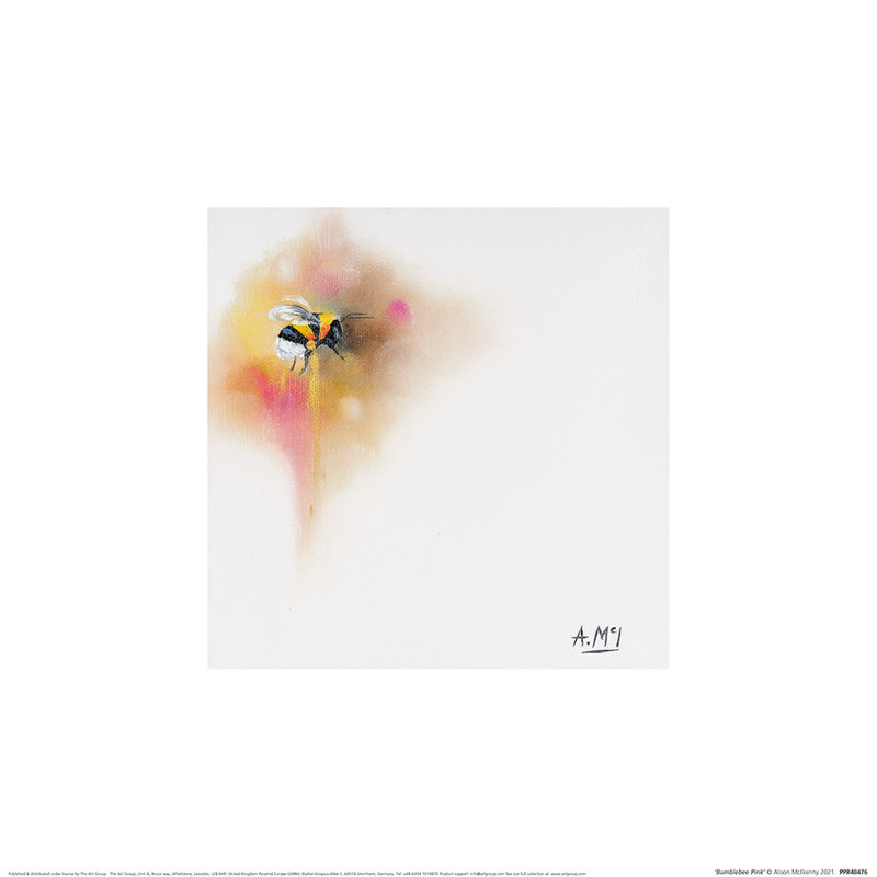 Bumblebee Pink by Alison Mcilkenny - No Frame Painting