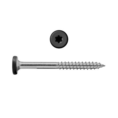 #9 x 1-7/8 in. Stainless Steel Star Drive Pan Head Composite Fascia Screw in Indian Ebony (100-Pack)